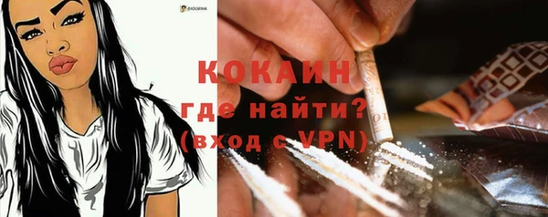 хмурый Абаза