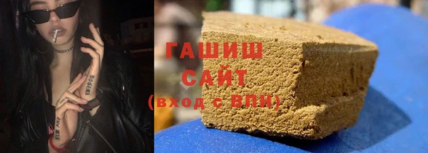 хмурый Абаза
