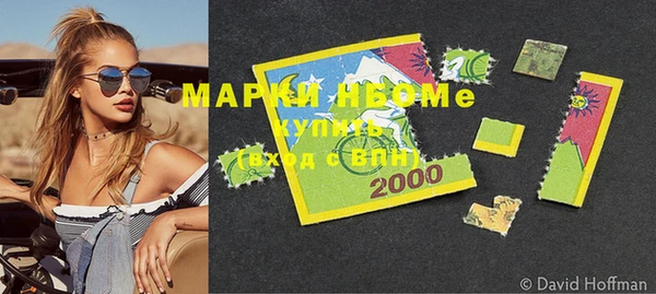 хмурый Абаза