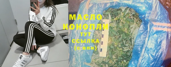 хмурый Абаза
