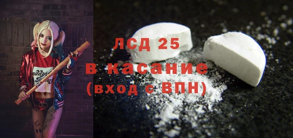 хмурый Абаза