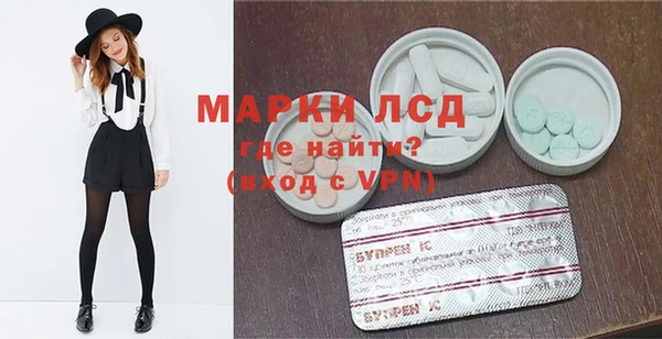хмурый Абаза