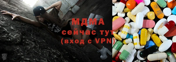 индика Алексин